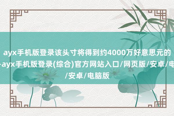 ayx手机版登录该头寸将得到约4000万好意思元的利润-ayx手机版登录(综合)官方网站入口/网页版/安卓/电脑版