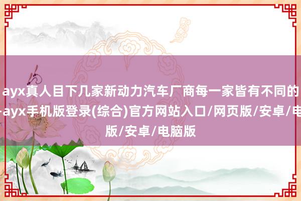 ayx真人目下几家新动力汽车厂商每一家皆有不同的标签-ayx手机版登录(综合)官方网站入口/网页版/安卓/电脑版