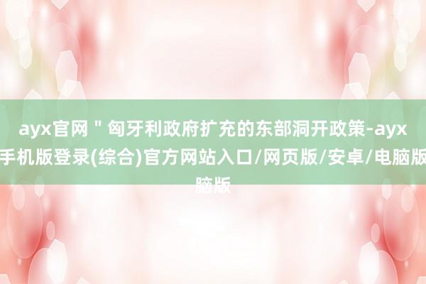 ayx官网＂匈牙利政府扩充的东部洞开政策-ayx手机版登录(综合)官方网站入口/网页版/安卓/电脑版
