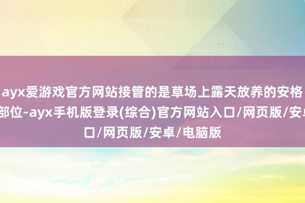 ayx爱游戏官方网站接管的是草场上露天放养的安格斯牛前腿部位-ayx手机版登录(综合)官方网站入口/网页版/安卓/电脑版