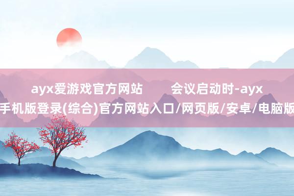 ayx爱游戏官方网站        会议启动时-ayx手机版登录(综合)官方网站入口/网页版/安卓/电脑版