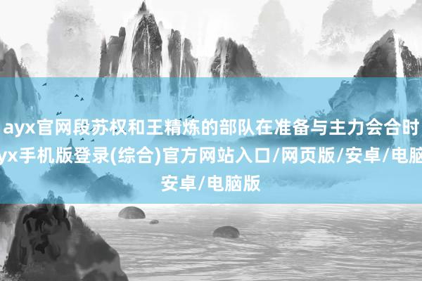 ayx官网段苏权和王精炼的部队在准备与主力会合时-ayx手机版登录(综合)官方网站入口/网页版/安卓/电脑版