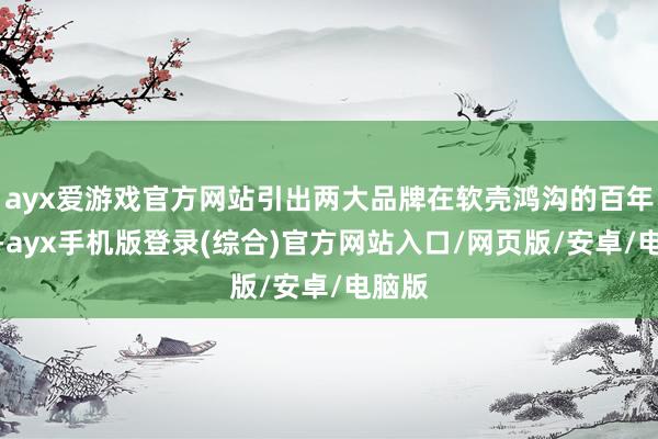 ayx爱游戏官方网站引出两大品牌在软壳鸿沟的百年博弈-ayx手机版登录(综合)官方网站入口/网页版/安卓/电脑版