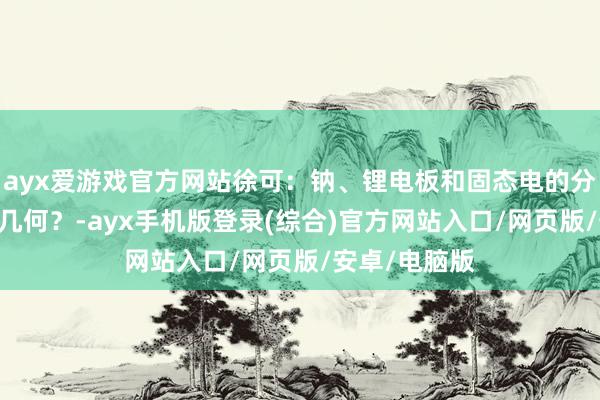 ayx爱游戏官方网站徐可：钠、锂电板和固态电的分裂多大 出路几何？-ayx手机版登录(综合)官方网站入口/网页版/安卓/电脑版