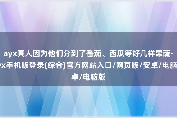 ayx真人因为他们分到了番茄、西瓜等好几样果蔬-ayx手机版登录(综合)官方网站入口/网页版/安卓/电脑版